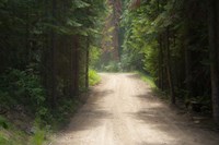 Adventure Fine Art Print