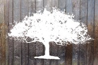 White Tree on Wood Fine Art Print