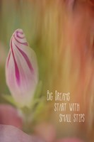 Small Steps Fine Art Print