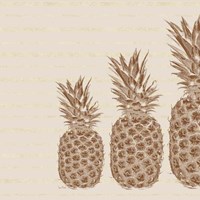 Pineapples - Right Three Framed Print