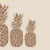 Pineapples - Left Three Framed Print