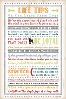 Life Tips - Dog Framed Print