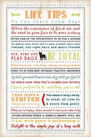 Life Tips - Dog Fine Art Print