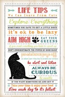 Life Tips - Cats Fine Art Print