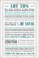 Life Tips - Dog Framed Print