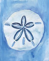 Sand Dollar Fine Art Print