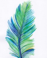 Blue Feather Fine Art Print