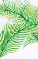 Palm Leaves Fine Art Print