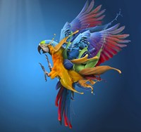 Flying Colours Fine Art Print