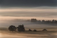 Dense Fog Over The Moos Fine Art Print