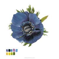 Brighton Blooms III Framed Print