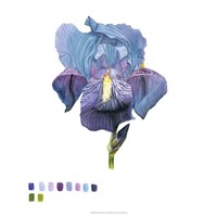 Brighton Blooms IV Framed Print