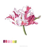 Brighton Blooms V Framed Print