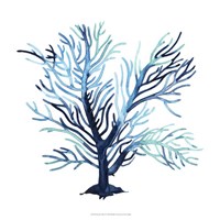 Fan de la Mer V Framed Print