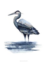 Azure Heron I Fine Art Print