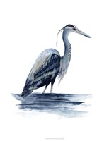 Azure Heron II Fine Art Print