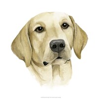 Human's Best Friend I Framed Print