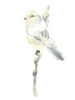 Avian Impressions I Fine Art Print