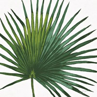 Welcome to Paradise XVI on White Fine Art Print