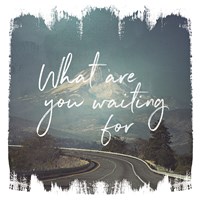 Wild Wishes III Fine Art Print