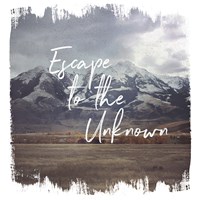 Wild Wishes IV Fine Art Print