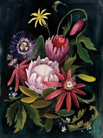 Flower Show II Fine Art Print