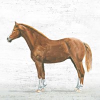 Natural Charm II Sq on Wood Fine Art Print