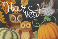 Harvest Owl IV Fine Art Print