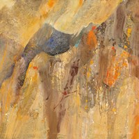 Canyon 3B Framed Print