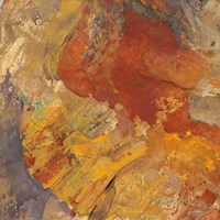 Canyon 3C Framed Print