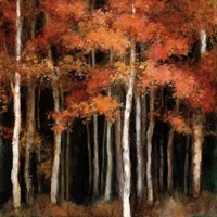 October Woods Fine Art Print