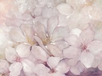 Apple Blossoms Fine Art Print