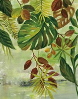 Tropical Greenery II Framed Print
