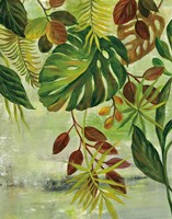 Tropical Greenery II Fine Art Print