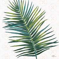 Welcome to Paradise XIV Fine Art Print