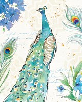 Peacock Garden I Framed Print