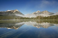 Petit Lake Reflection Fine Art Print