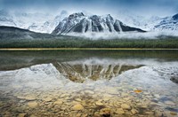 Waterfowl Lake I Fine Art Print