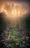 Misty Morning Fine Art Print