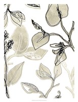 Block Print Contour II Framed Print