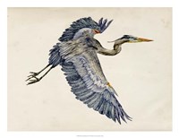 Blue Heron Rendering IV Framed Print
