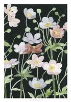 Anemone Dance II Fine Art Print