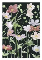 Anemone Dance III Fine Art Print