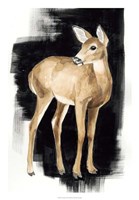 Nocturnal II Fine Art Print