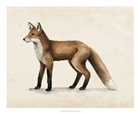 Wandering I Framed Print