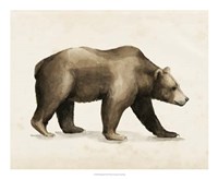 Wandering II Framed Print