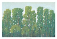 Forest Green I Framed Print