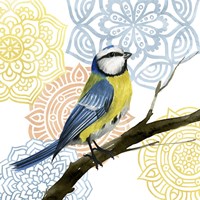 Mandala Bird I Framed Print