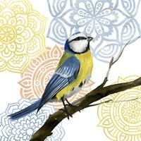 Mandala Bird I Fine Art Print