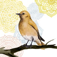 Mandala Bird II Fine Art Print